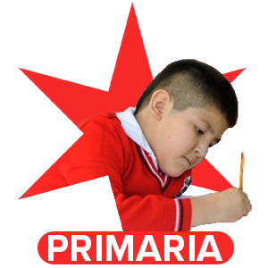 NIVEL: PRIMARIA