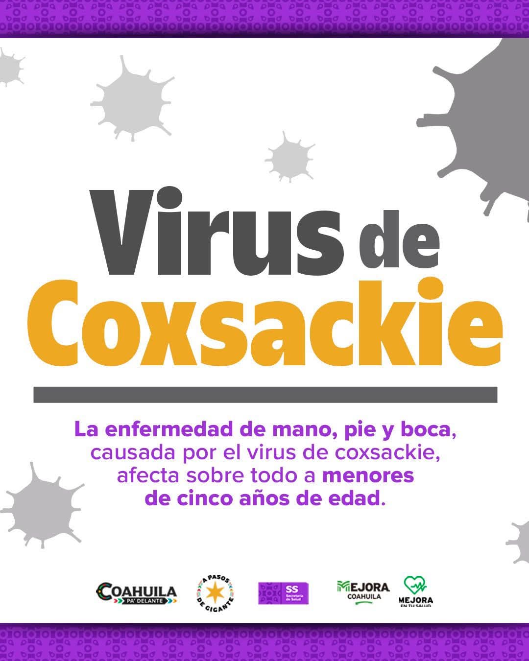 Virus Coxsackie | “Mano, Pie y Boca”