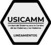 lineamientos